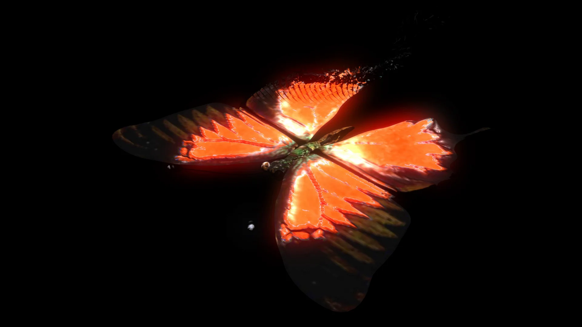 Butterfly Simulation on Vimeo