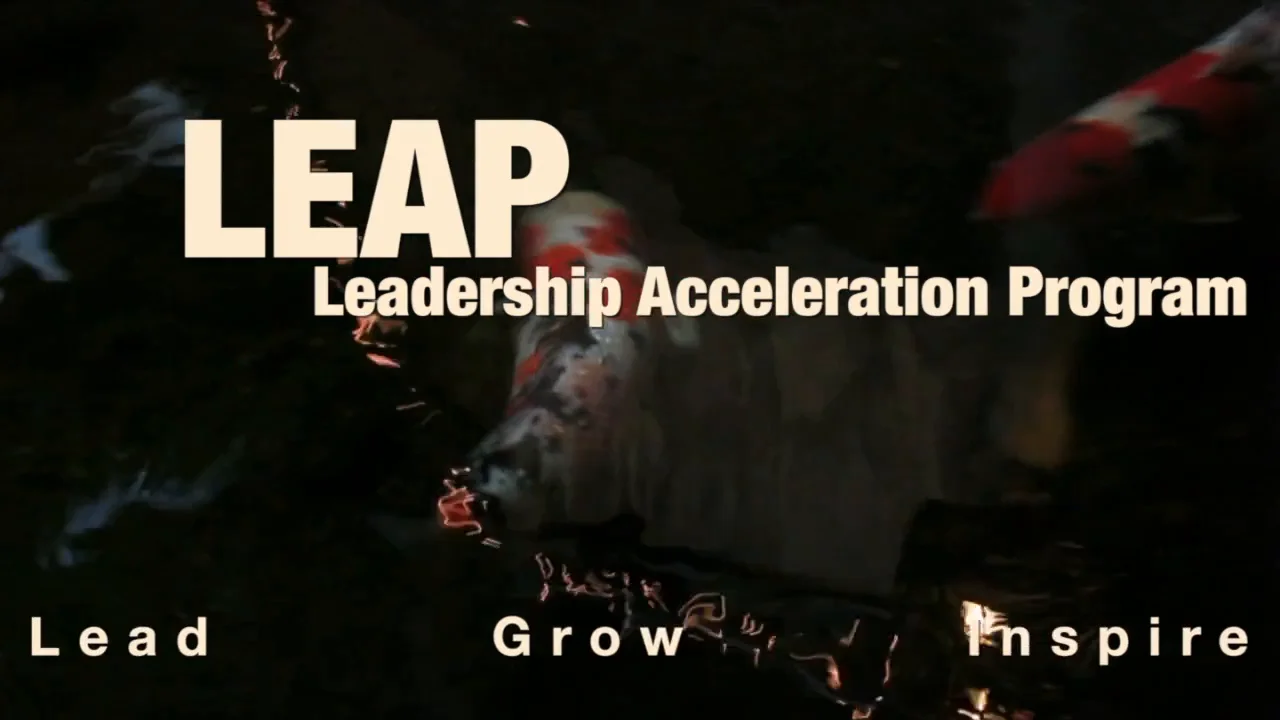 LEAP - Leadership Acceleration Program on Vimeo