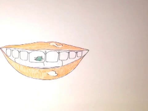 Sequence 5 on Vimeo