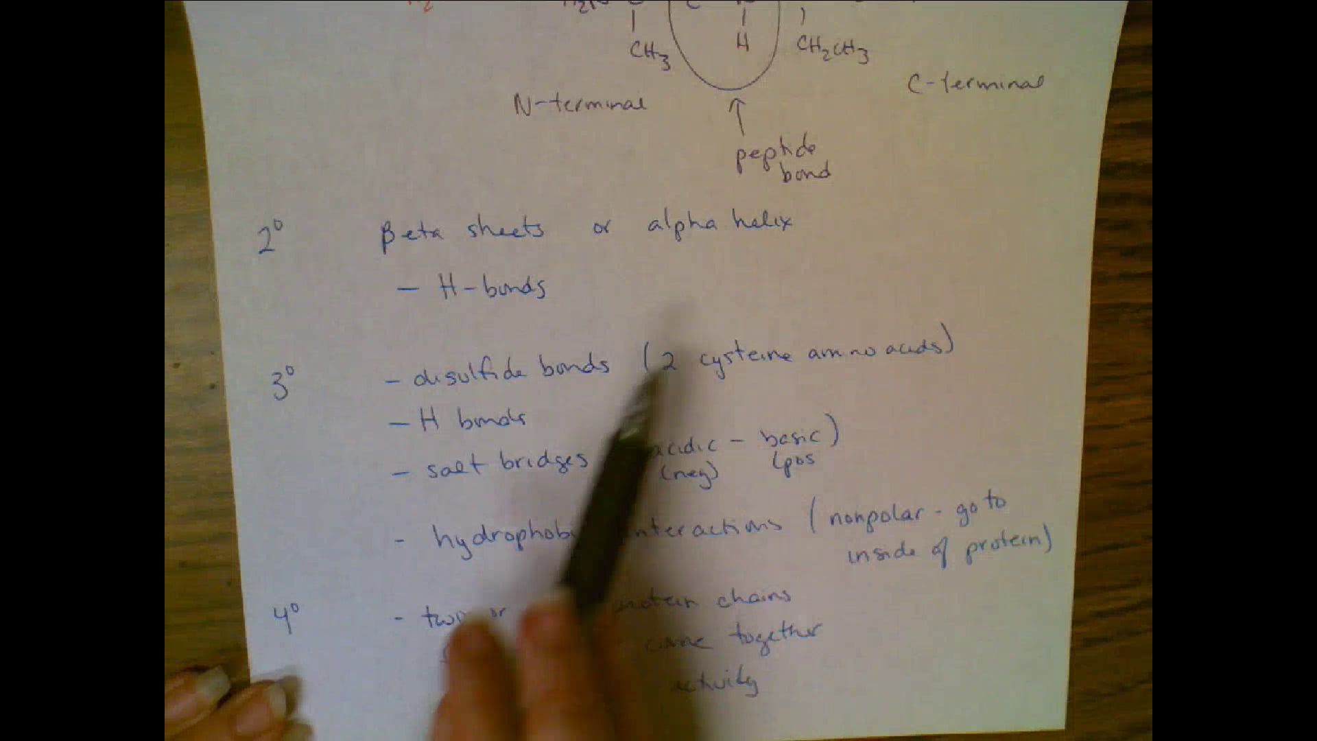 Unit 6 Questions for Final Exam on Vimeo