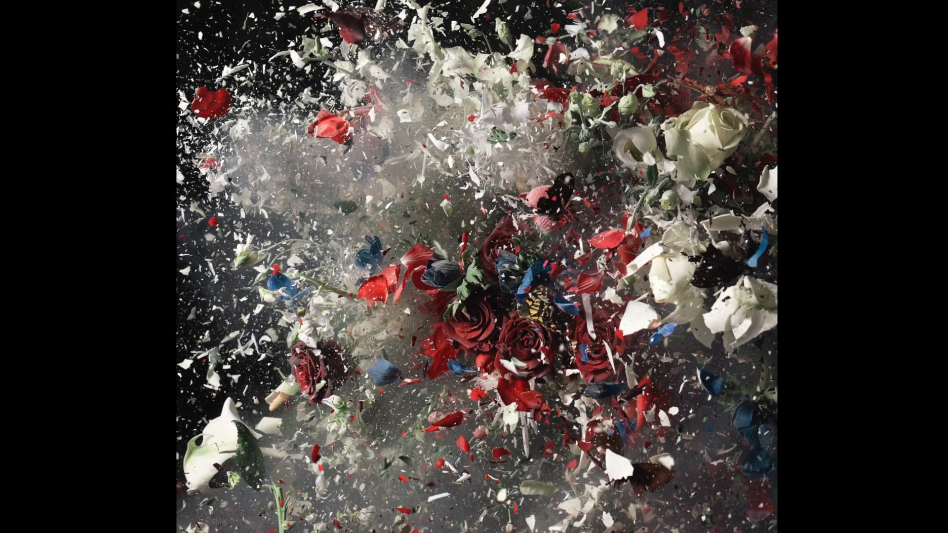 Ori Gersht │ Artist Talks on Art - Tel Aviv Museum of Art 2014 on Vimeo