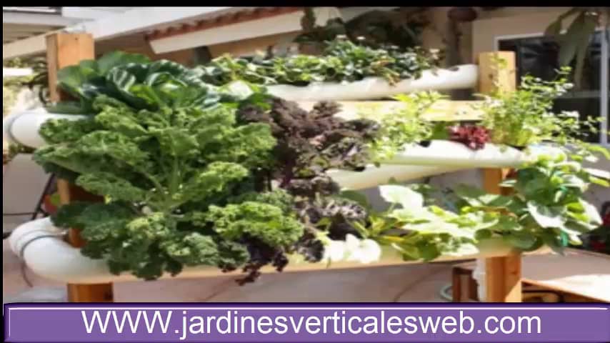 Diseños de jardines verticales hidropónicos caseros , para interior y