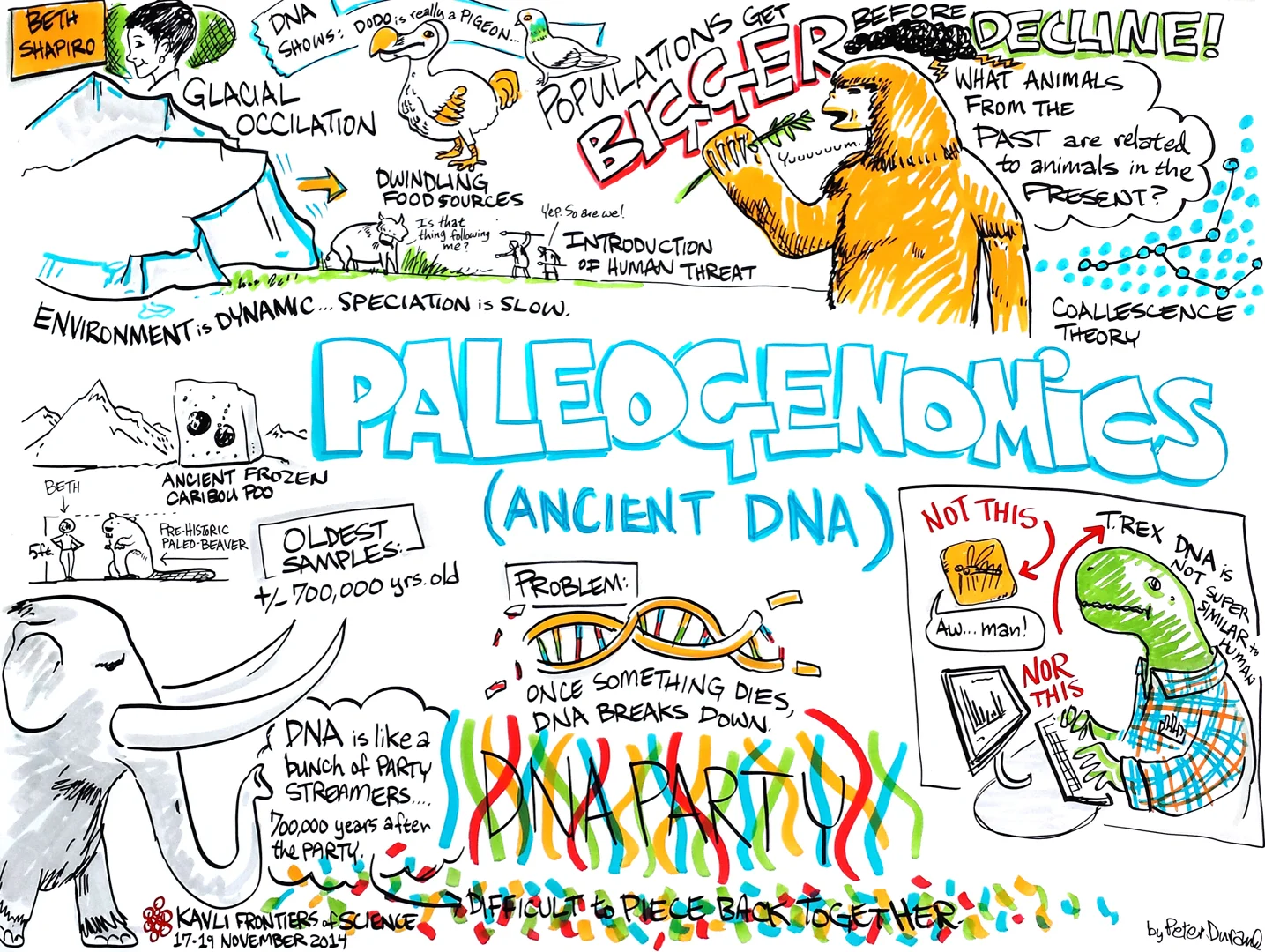 Paleogenomics Beth Shapiro University of California Santa Cruz