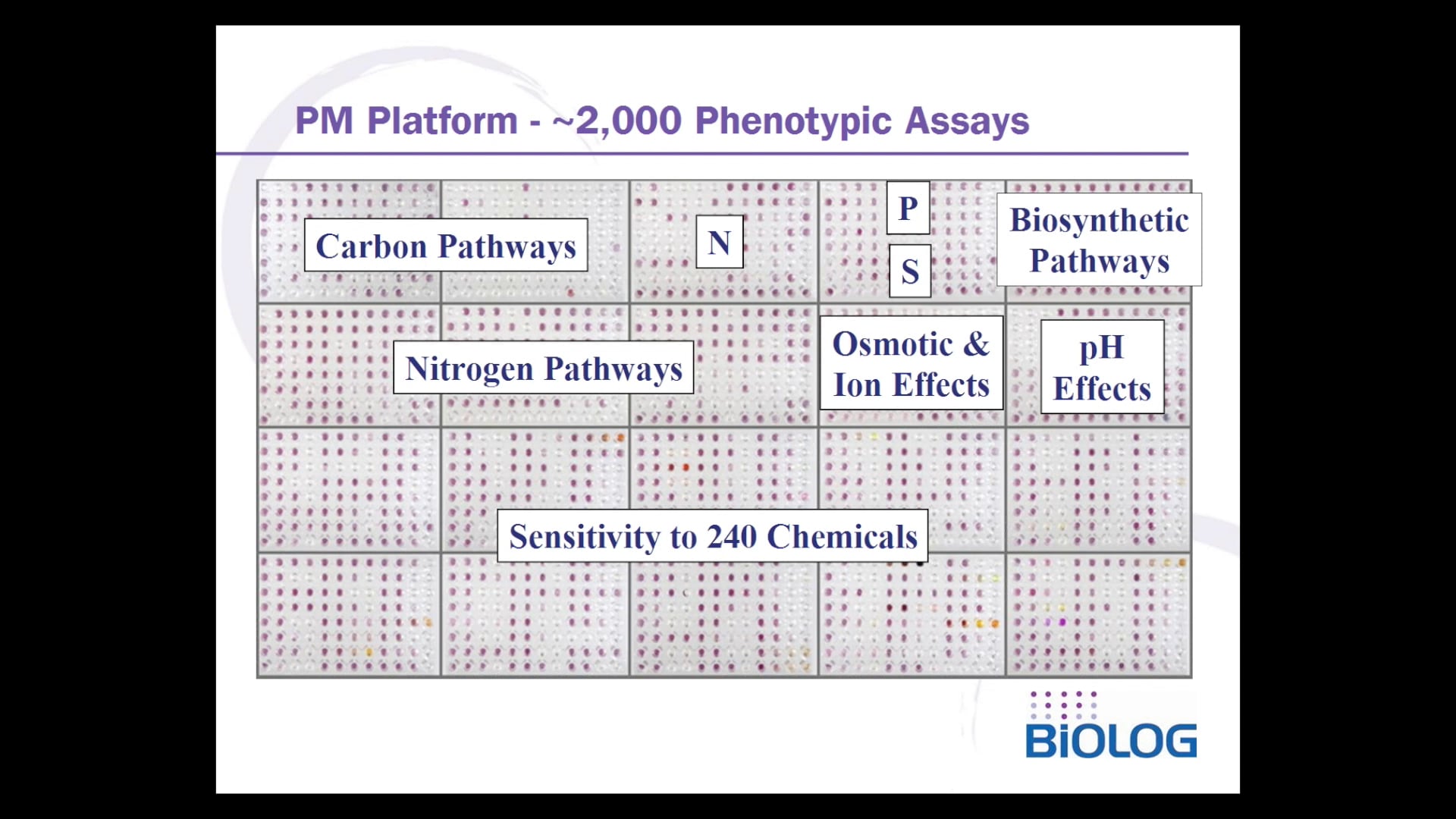 Measuring Changes in Cancer Cell Energetics with Phenotype MicroArrays ...