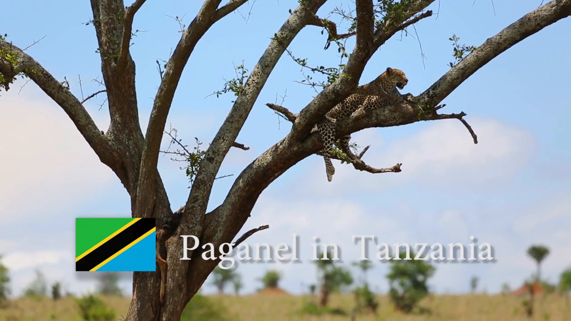 Paganel in Tanzania HD (2014)