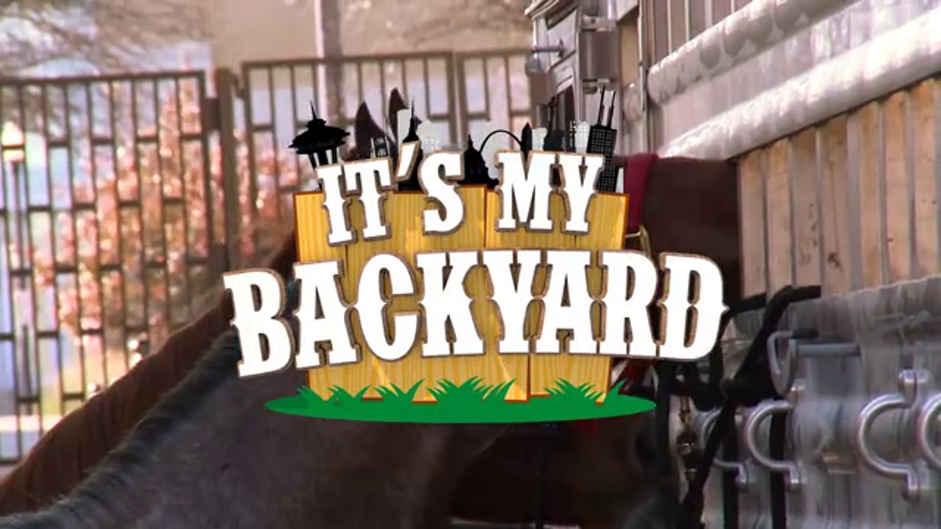 Its My Backyard - Episode 7