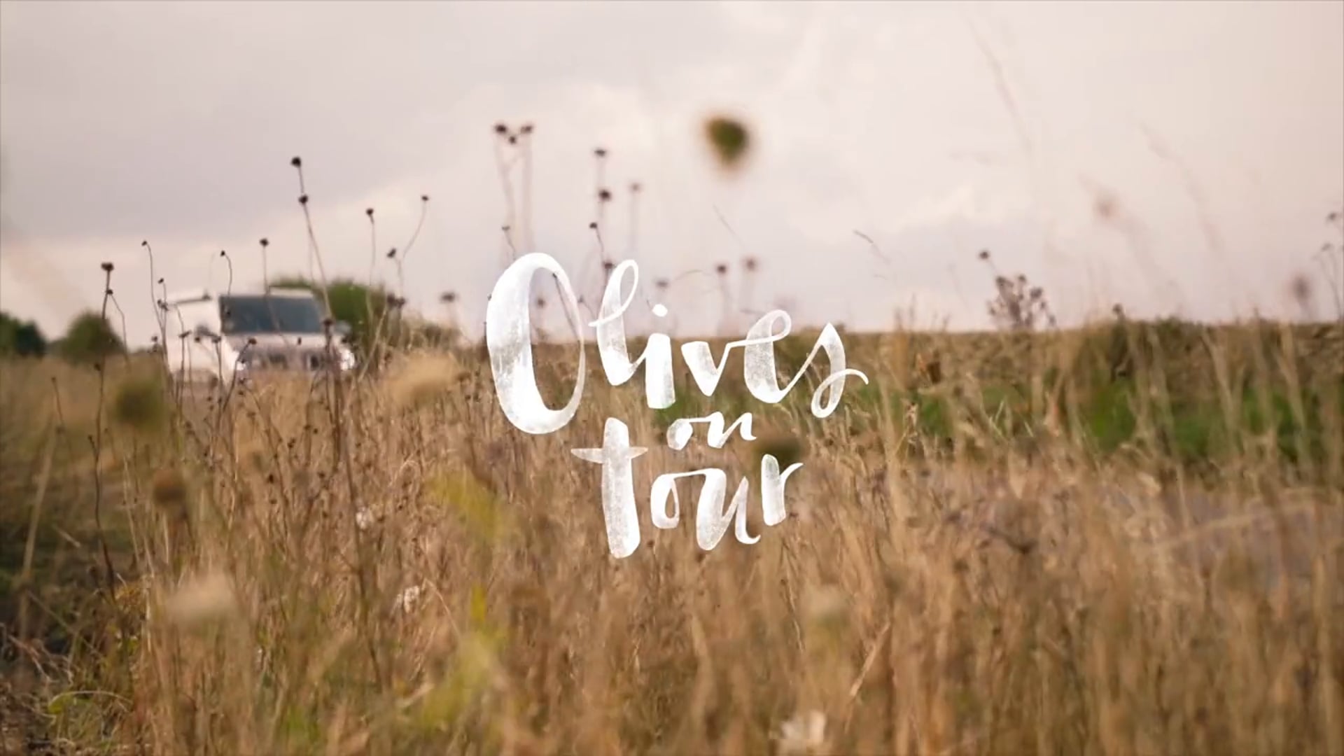 Olives on Tour -Volkswagen