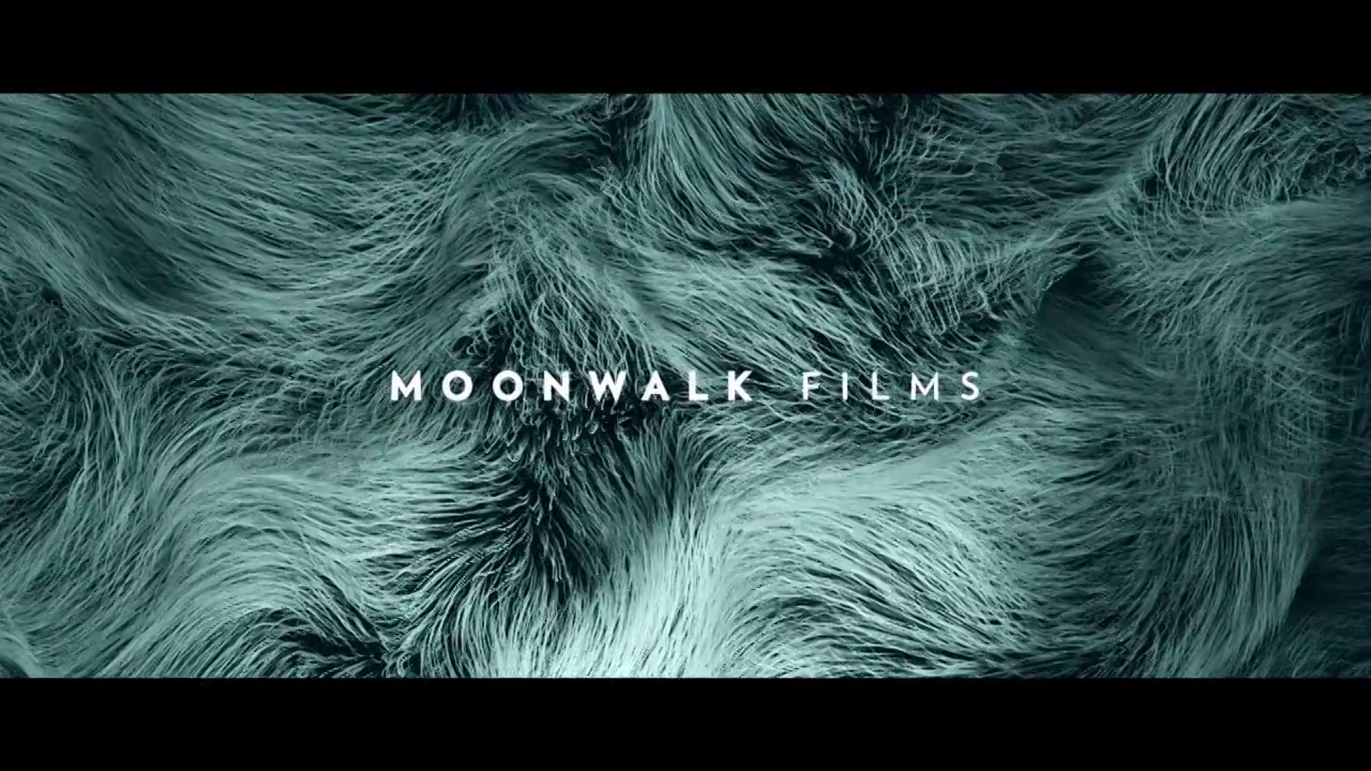 Young Directors Awards Titles 2013