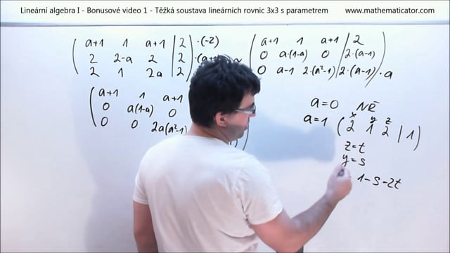 Lineární algebra I - Bonusové video 1 - Těžká soustava lineárních rovnic 3x3 s parametrem