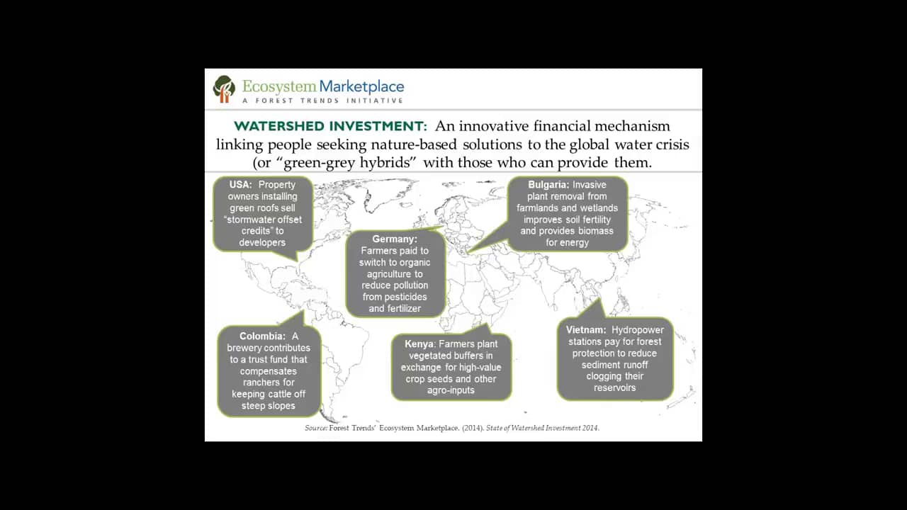 Feature Articles Page 2 Ecosystem Marketplace