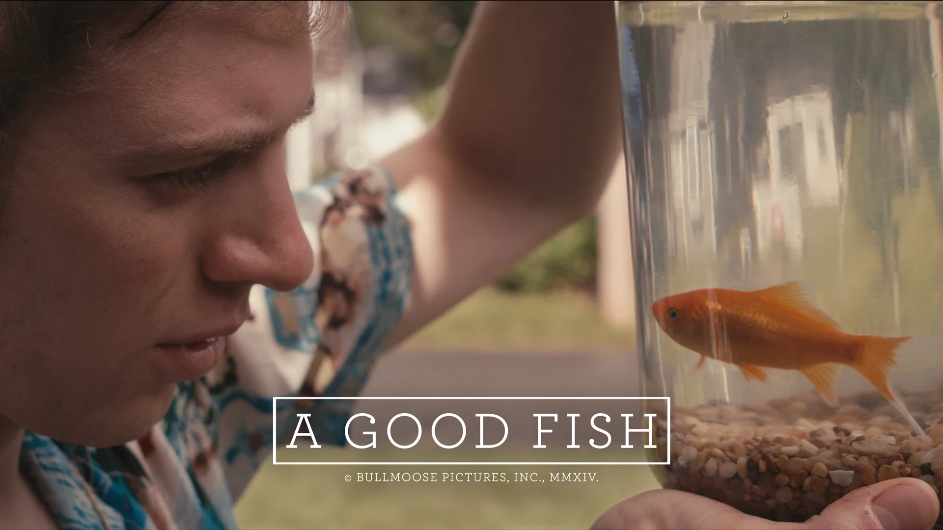 A GOOD FISH - Trailer #2 on Vimeo