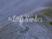 The Little Nordics – Life in miniature