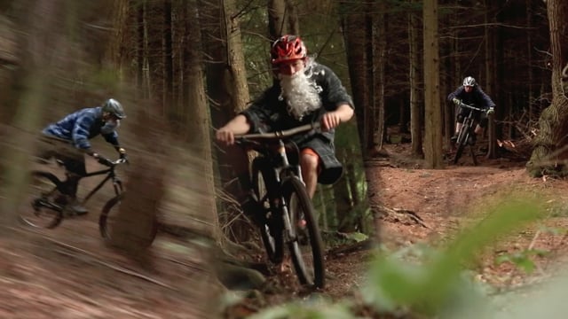 Away in a bike shed from Tom Gaffney