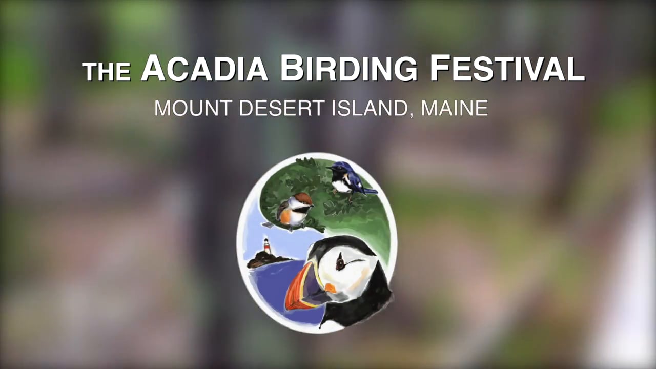 Enjoying Maine at the Acadia Birding Festival on Vimeo