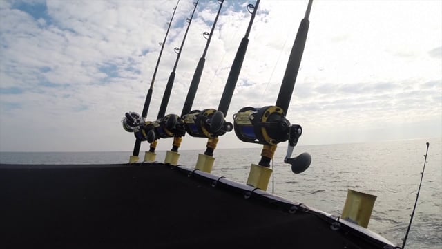 Ocean City, MD Stripers