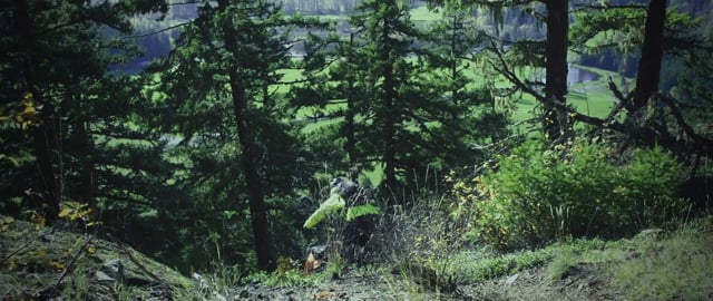 Polygon Bikes in Pemberton from PolygonBikesUS