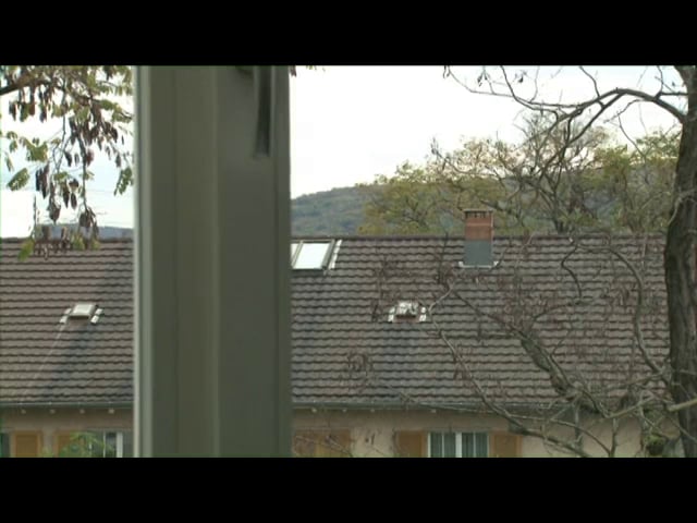 Thumbnail for Renée Levi