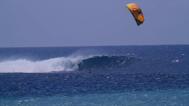 Welcome to the Jungle