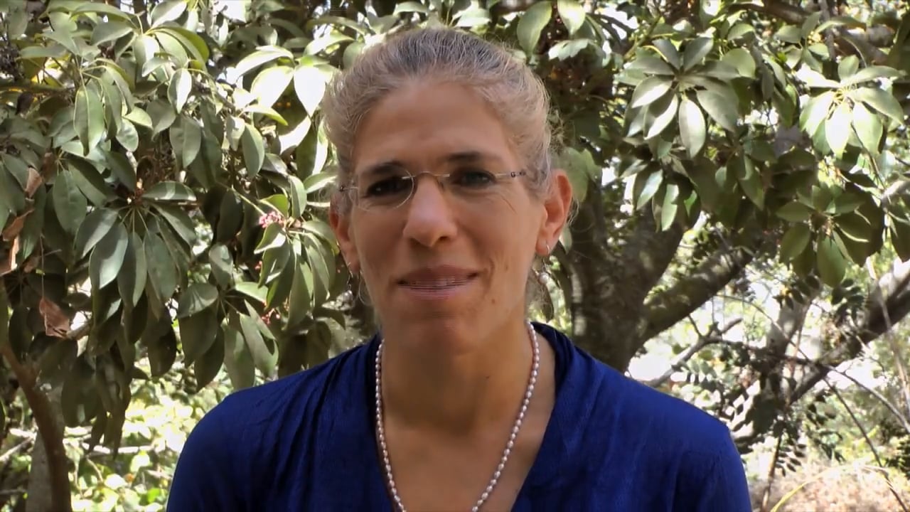 שיעור מספר 3: איך לשחרר את הפחד