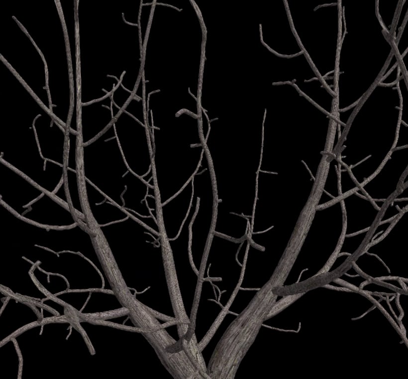 Update on my tree mesh generator on Vimeo