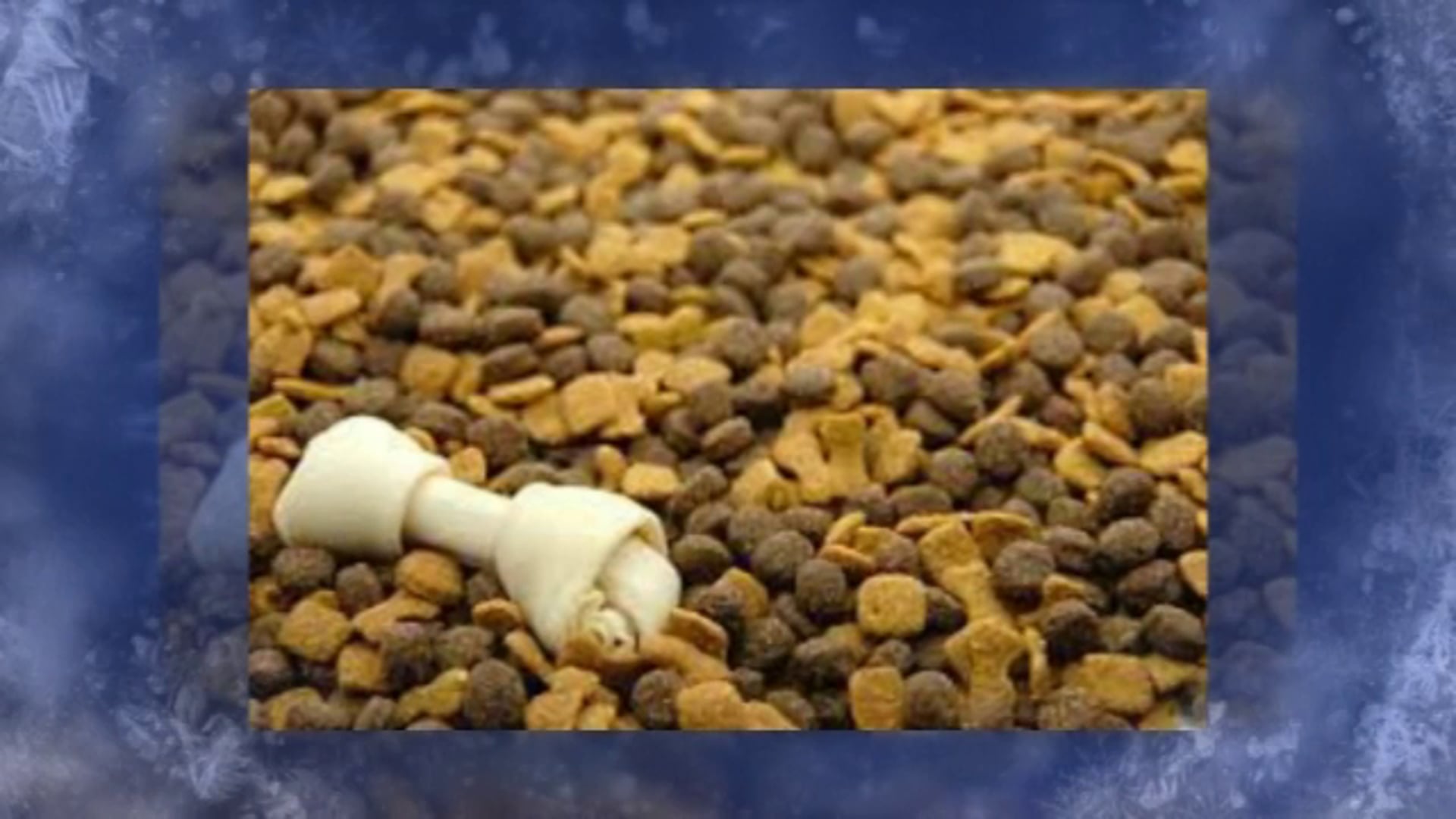 Homemade Dog Food