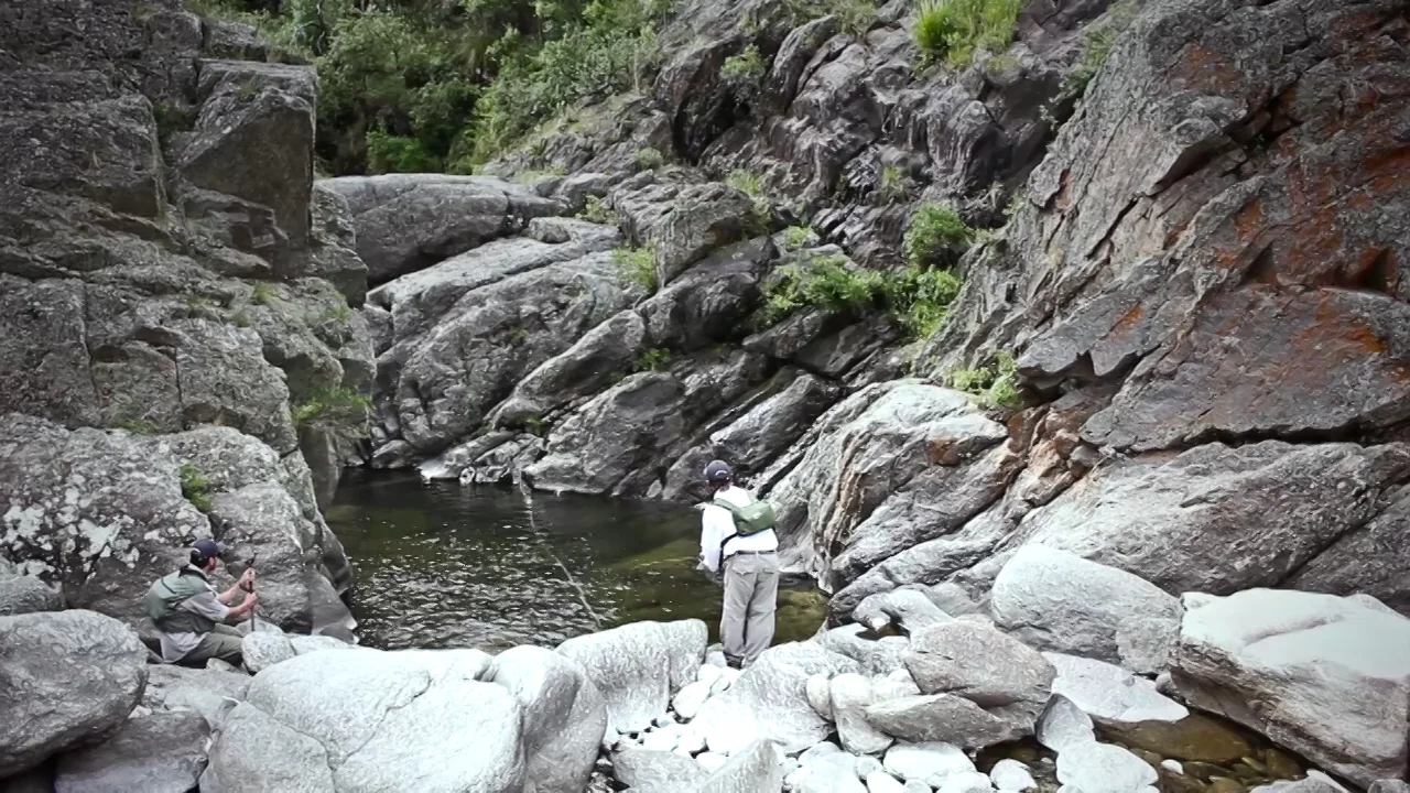 Pointer Fly Fishing Argentina