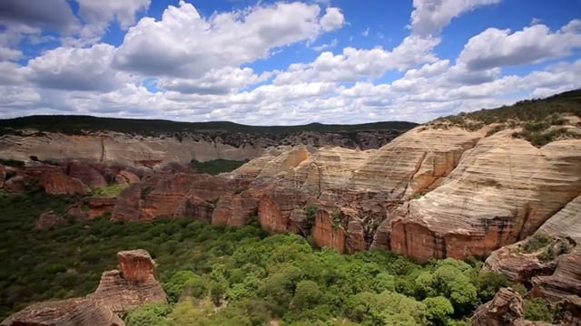 Capa do vídeo SERRA DA CAPIVARA - Brasil, um país com muita história para contar