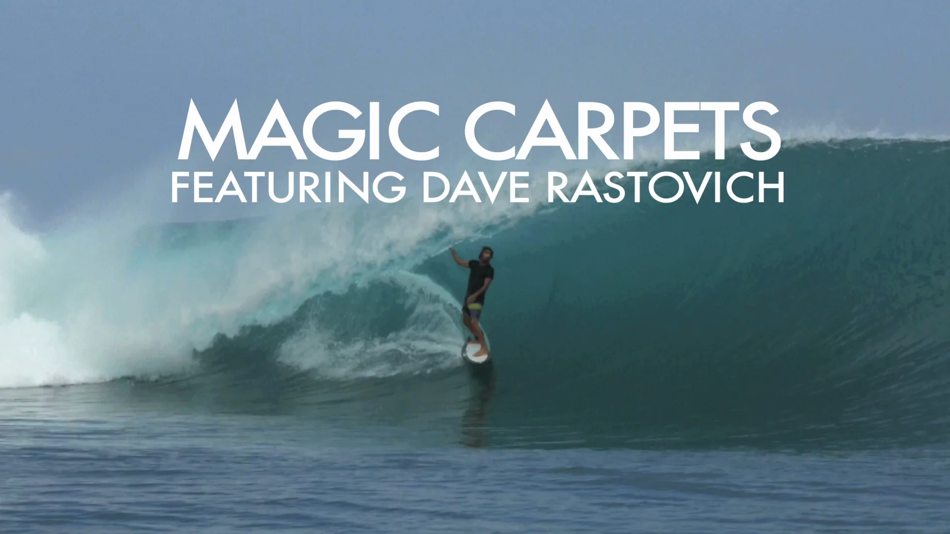 The Accidental Activist, by Gary McNeill — Shaper Made