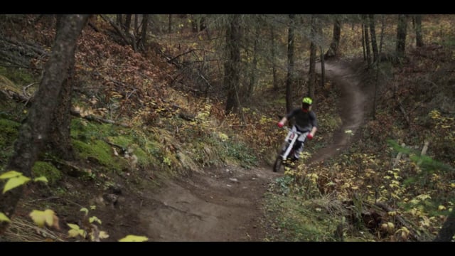 Doerfling﻿ – Lizard Skins Silent Trail Assassin from Lizard Skins