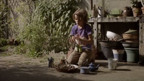 Le cahier des visages