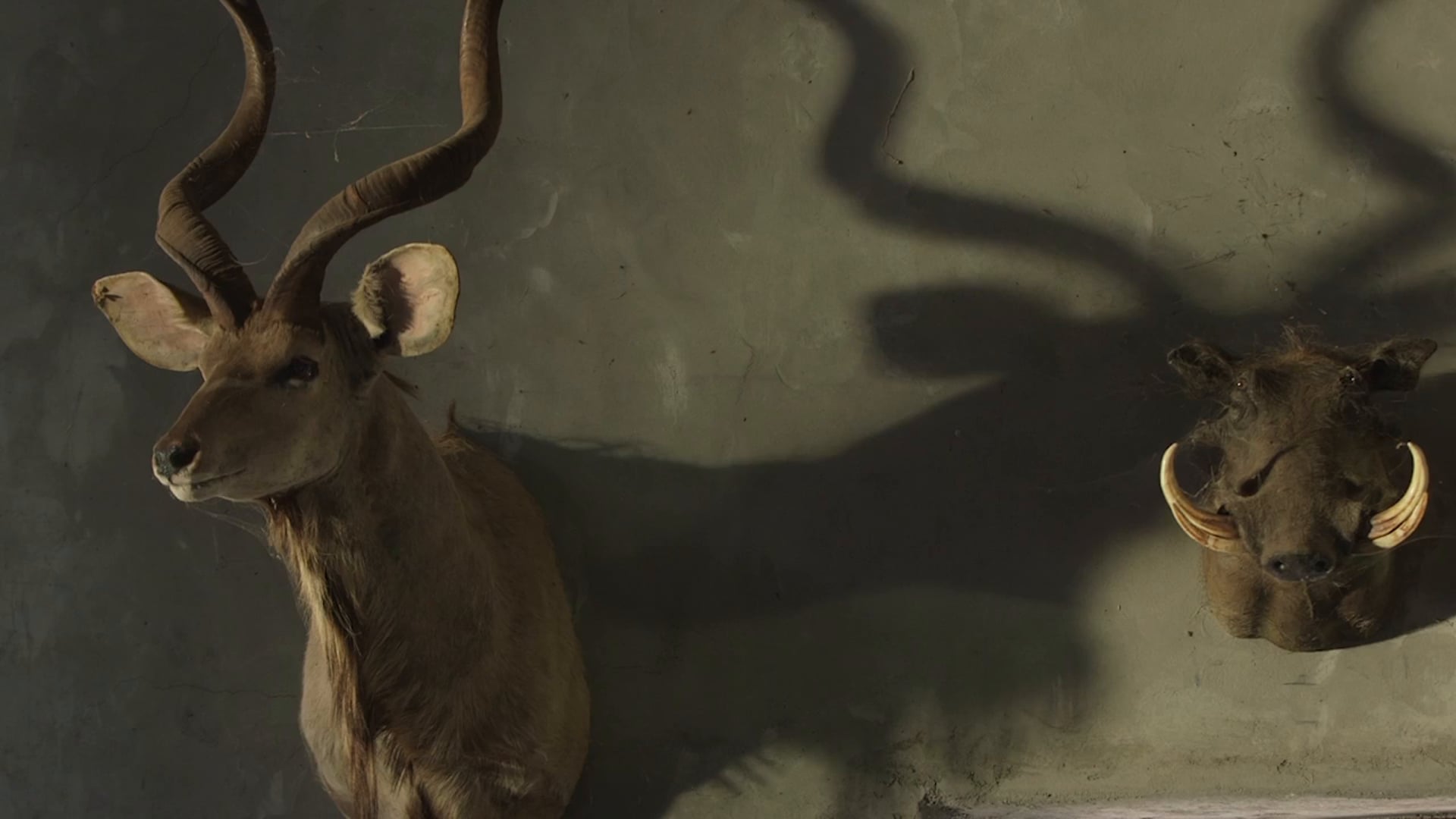 FOR SALE | Independent Short Film