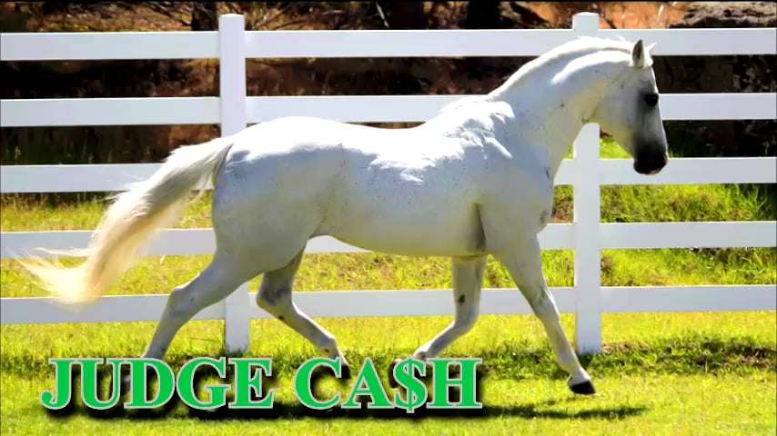 Cross Country Ranch on Vimeo