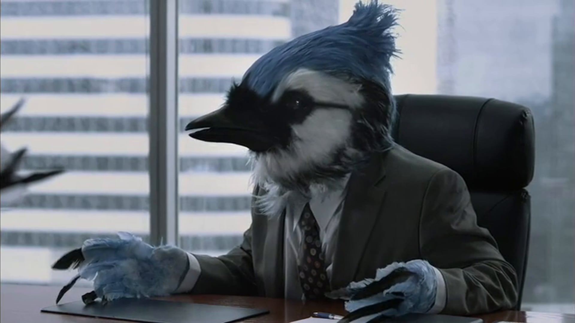 Blue Jays - Hotdogs