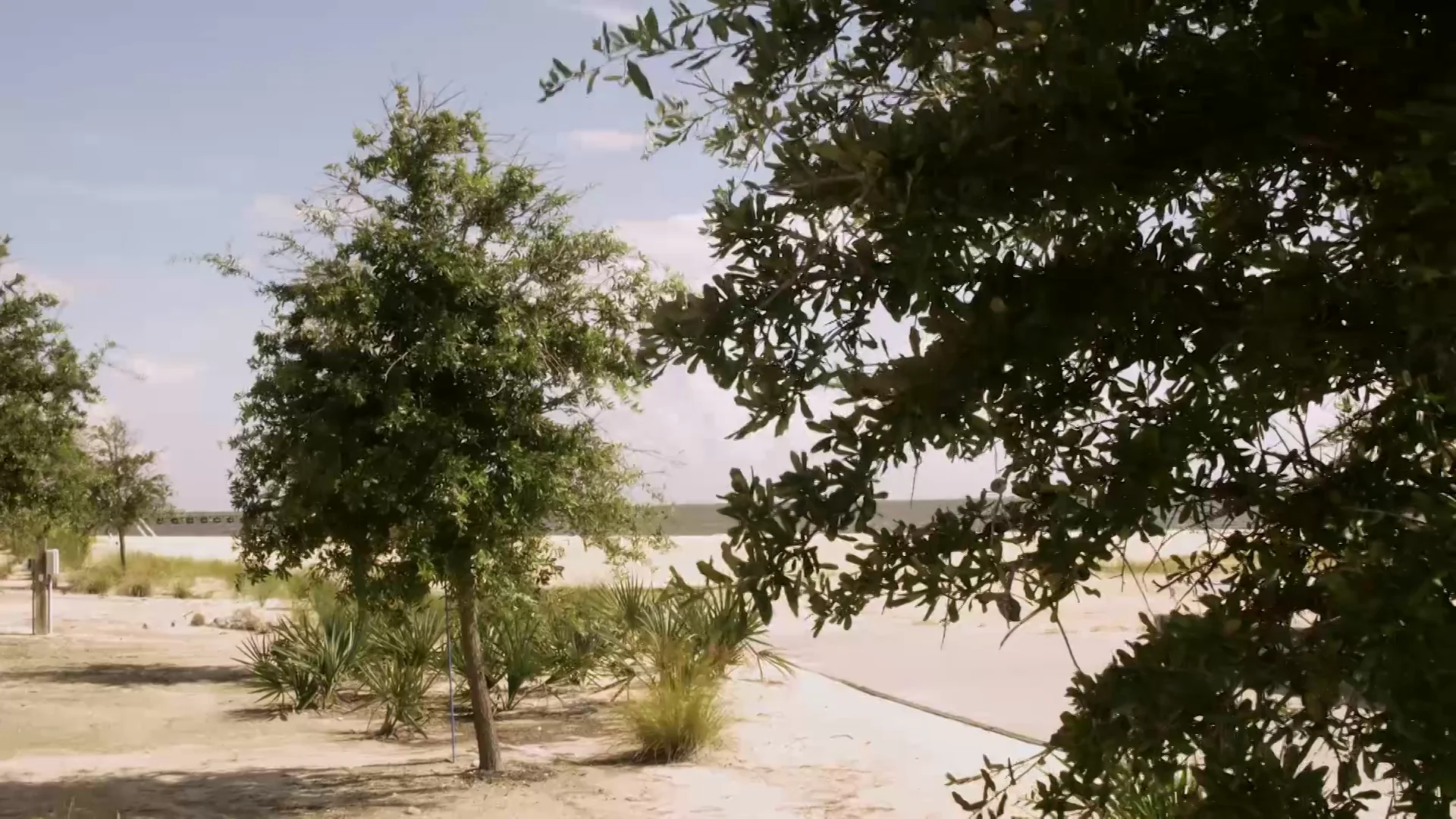 Demo for MDOT Mississippi Forestry Commission "Green Brings Green" on