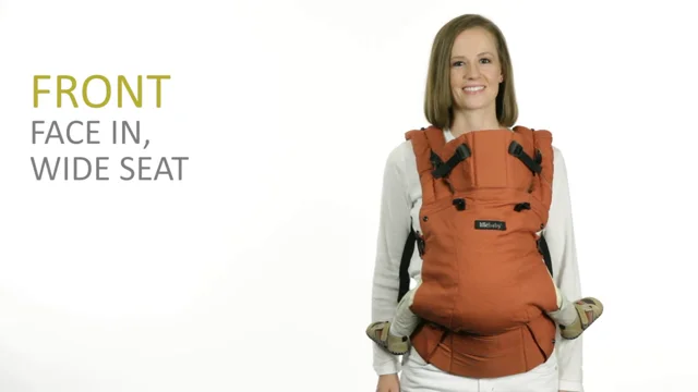 Lillebaby best sale carrier positions