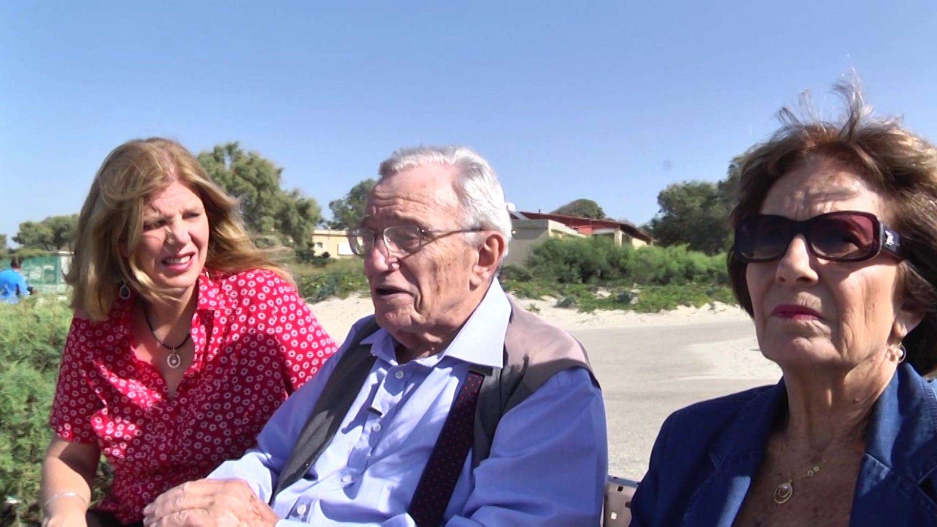 הנס כץ תקציר