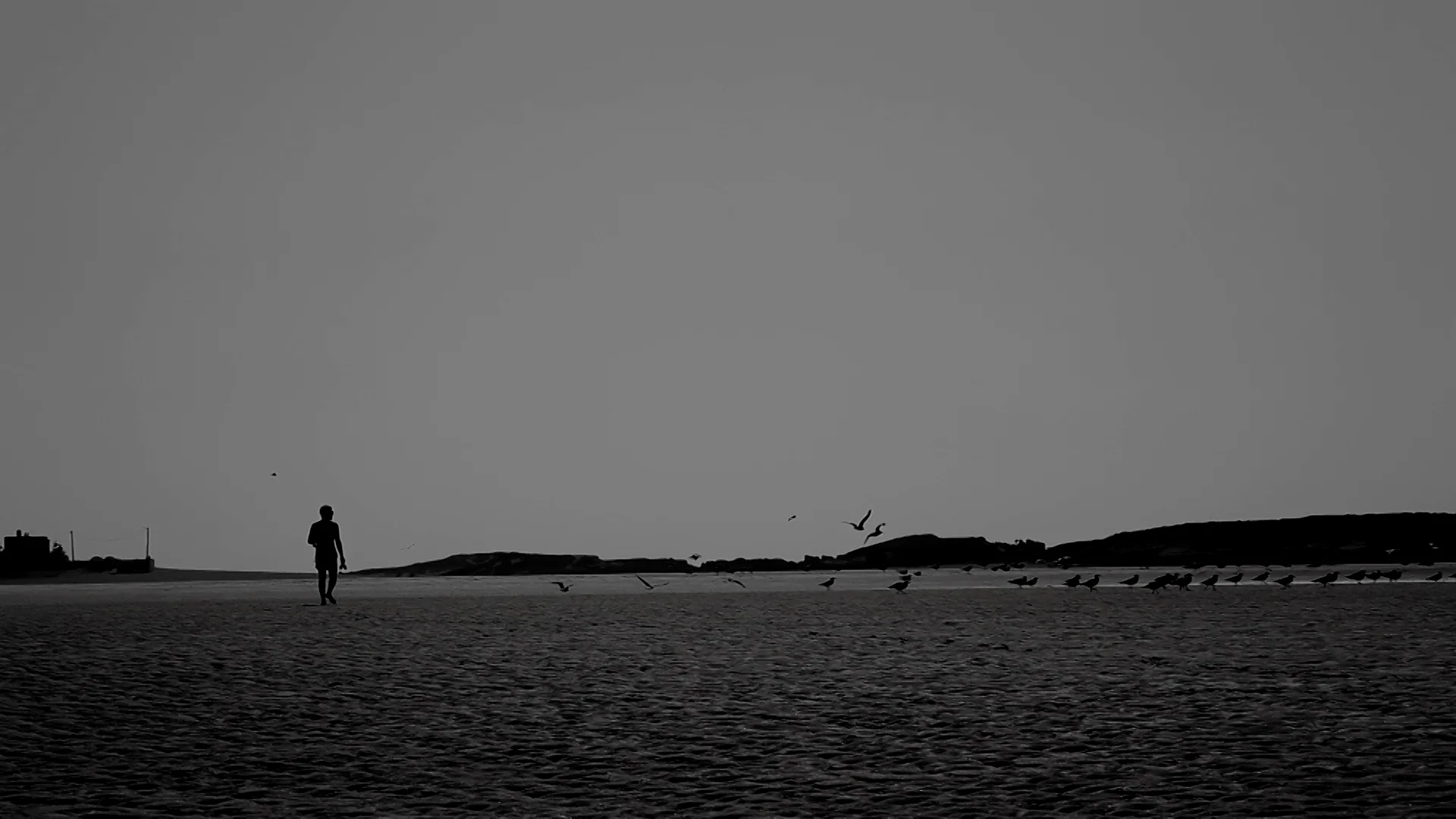 音楽家、半野喜弘の監督デビュー作「雨にゆれる女」。主演は盟友、青木