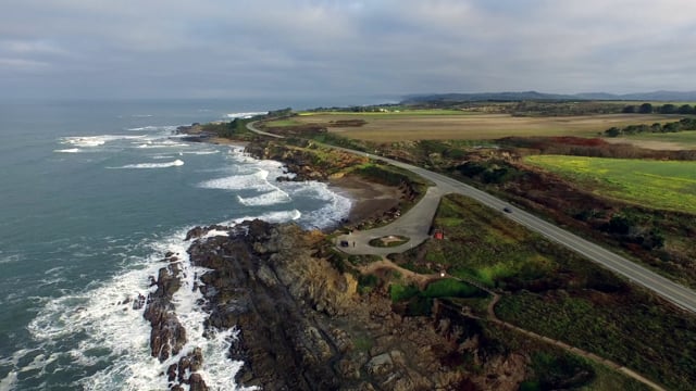 Collecting Ancient Rocks in Bloomers at Pescadero’s Pebble Beach