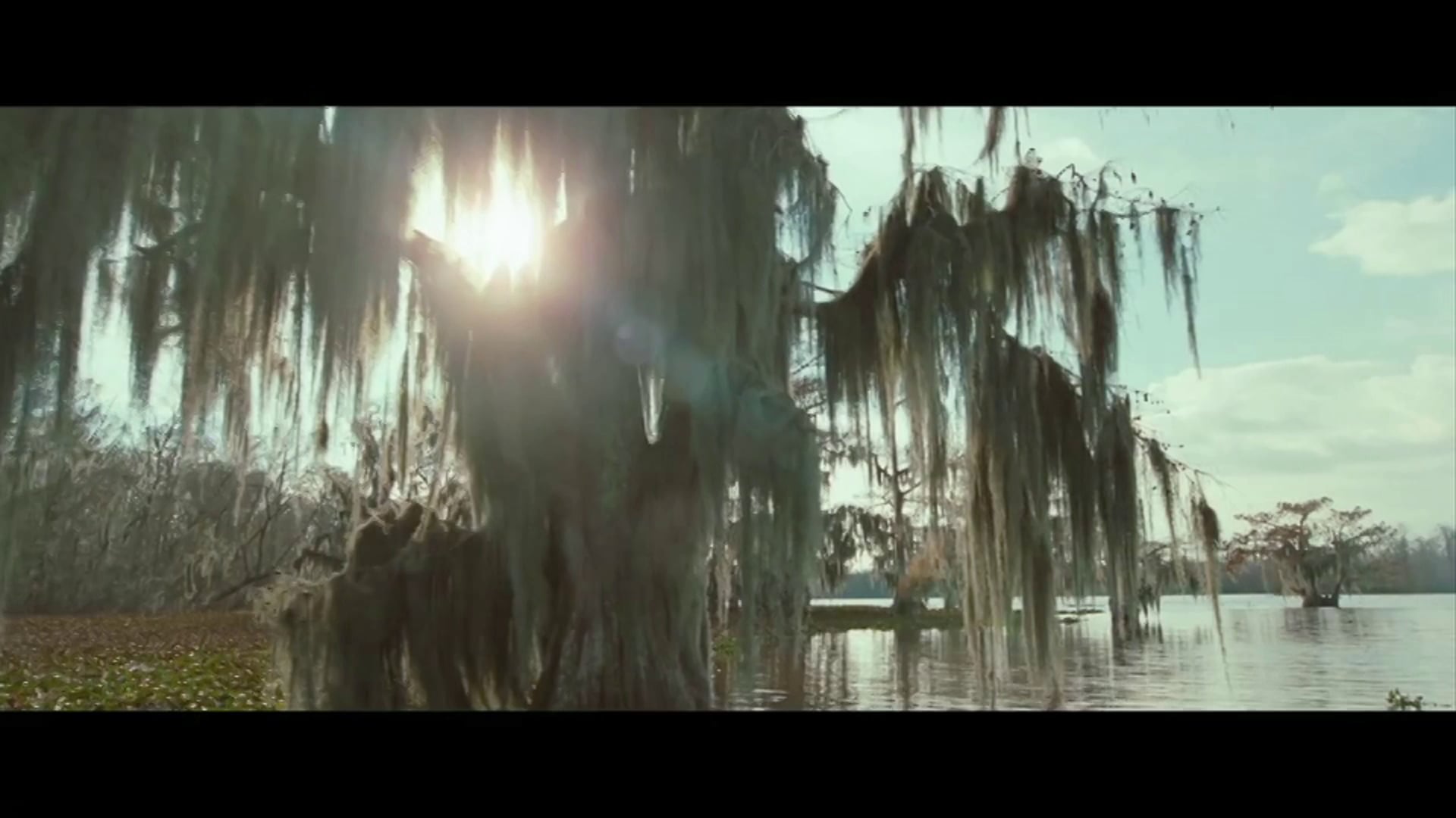MOJO Teaser