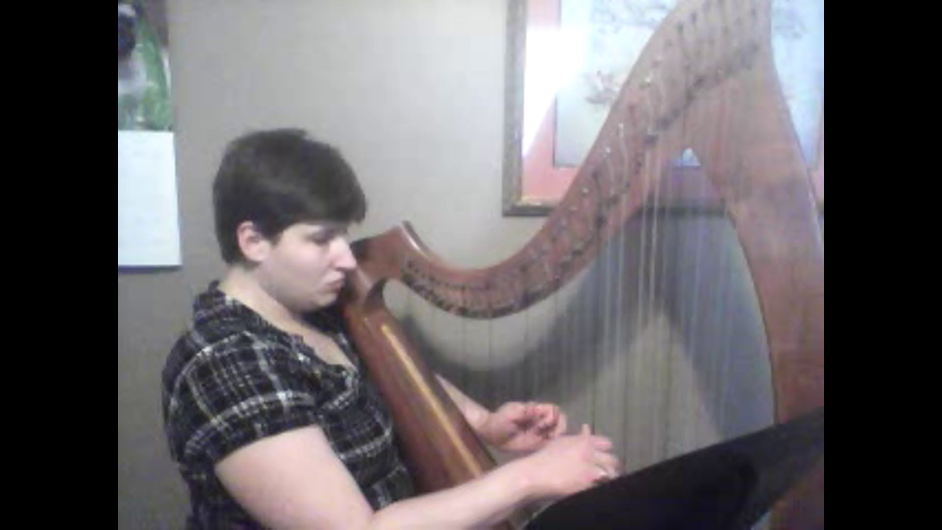 Promotional video thumbnail 3 for Rachel Payne - Harpist
