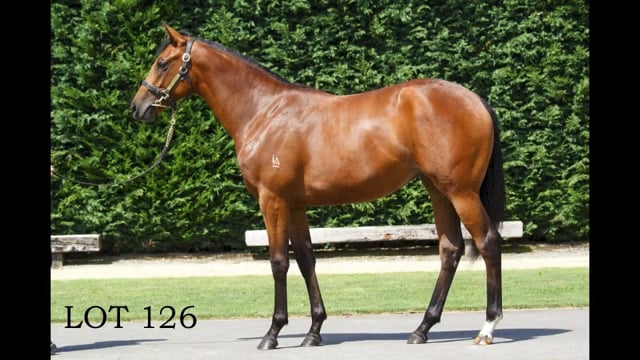 Lot 126