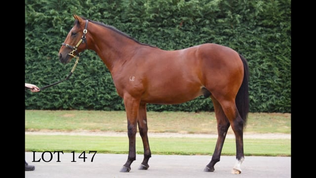 Lot 147