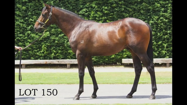 Lot 150