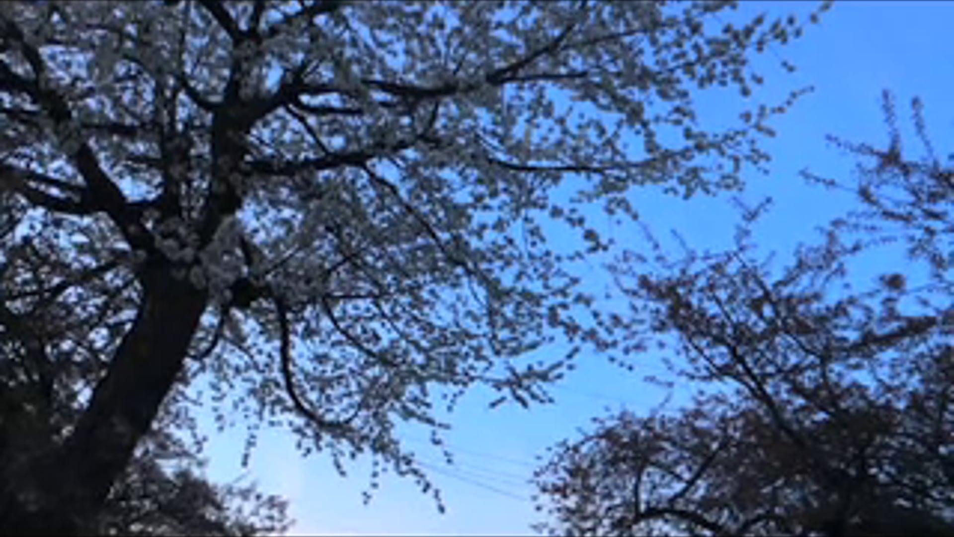 2014