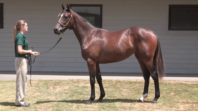 Lot 320