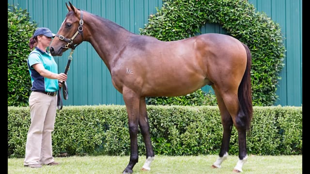Lot 762