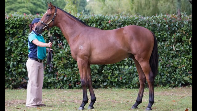 Lot 888