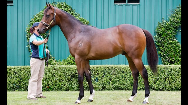 Lot 168