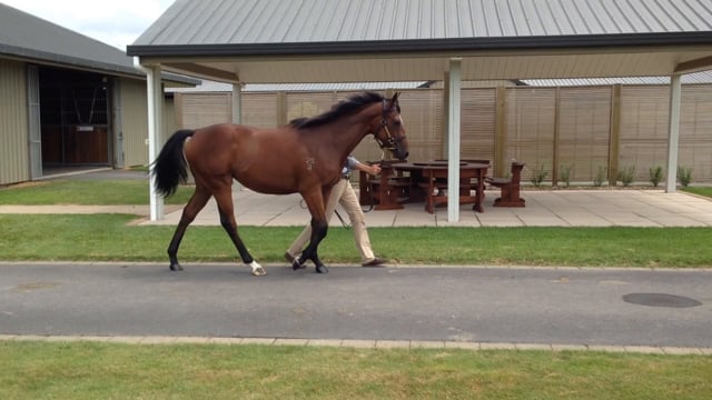 Lot 468