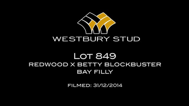 Lot 849